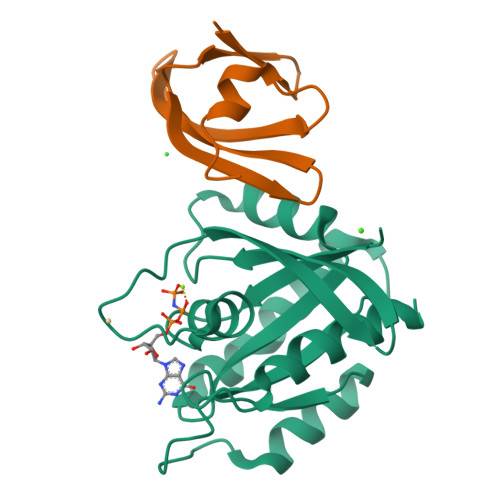 Rcsb Pdb 5ufq K Rasg12d Gnp R11 1 6 Complex