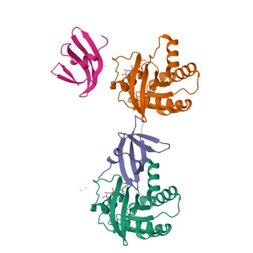 Rcsb Pdb 5ufq K Rasg12d Gnp R11 1 6 Complex