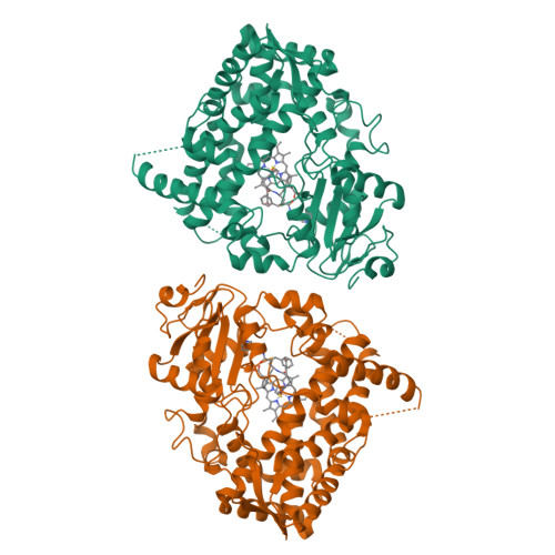 Rcsb Pdb Homepage Rcsb Pdb Homepage