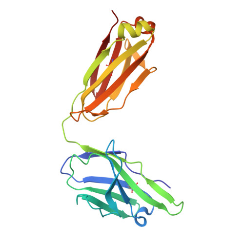 Rcsb Pdb 5ugy Influenza Hemagglutinin In Complex With A Neutralizing Antibody