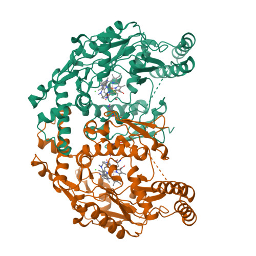 Rcsb Pdb 4uh6 Structure Of Human Nnos R354a G357d Mutant Heme Domain In Complex With 3 2 6 Amino 4 Methylpyridin 2 Yl Ethyl 5 Methyl 2 Methylamino Ethyl Amino Benzonitrile
