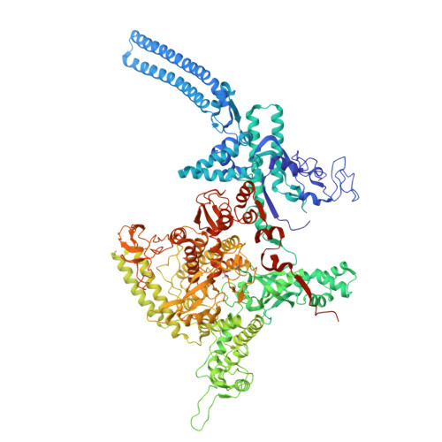 Rcsb Pdb 5uhg Crystal Structure Of Mycobacterium Tuberculosis Transcription Initiation Complex In Complex With D Aap1 And Rifampin