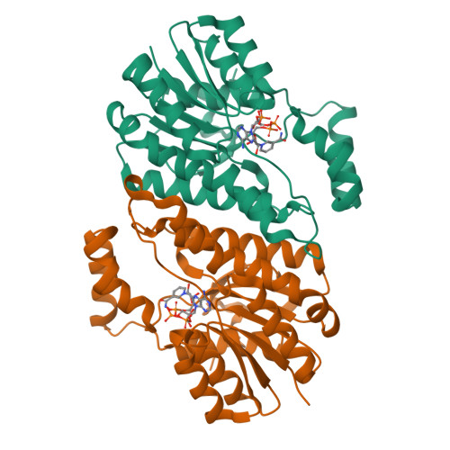 Rcsb Pdb 6uhx Crystal Structure Of Yir035c Short Chain Dehydrogenases Reductase From Saccharomyces Cerevisiae