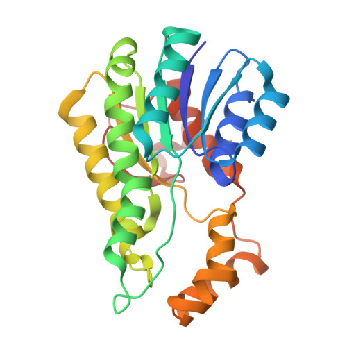 Rcsb Pdb 6uhx Crystal Structure Of Yir035c Short Chain Dehydrogenases Reductase From Saccharomyces Cerevisiae