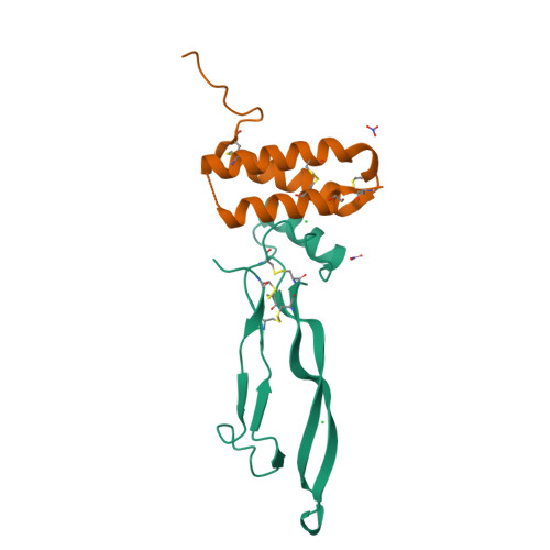 Rcsb Pdb 4ui1 Crystal Structure Of The Human Rgmc Bmp2 Complex