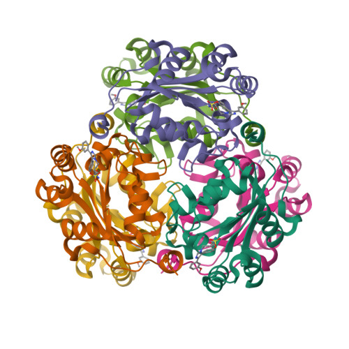 Rcsb Pdb 5ui4 Structure Of Nme1 Covalently Conjugated To Imidazole Fluorosulfate