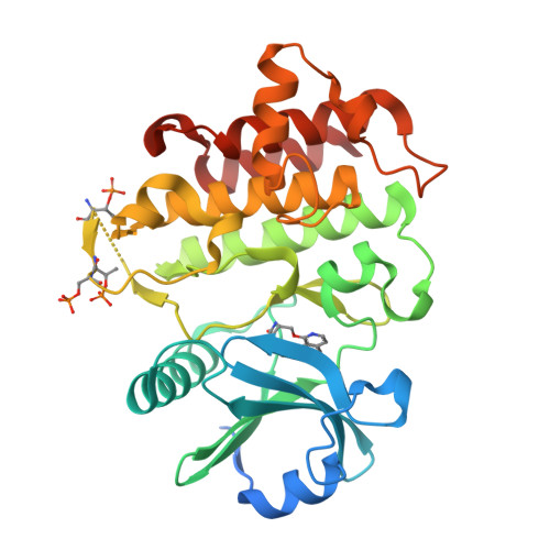 Rcsb Pdb 5uiu Crystal Structure Of Irak4 In Complex With Compound 30