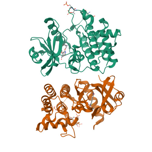 Rcsb Pdb 5uiu Crystal Structure Of Irak4 In Complex With Compound 30