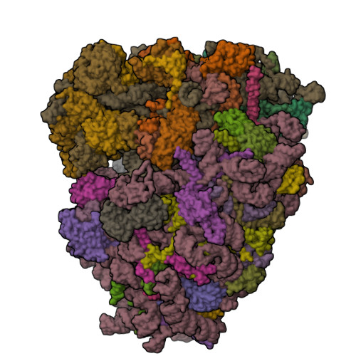 8UJ9 assembly