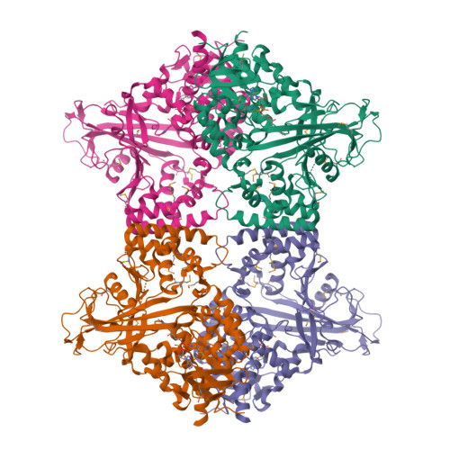 Rcsb Pdb 3uka Crystal Structure Of Udp Galactopyranose Mutase From Aspergillus Fumigatus