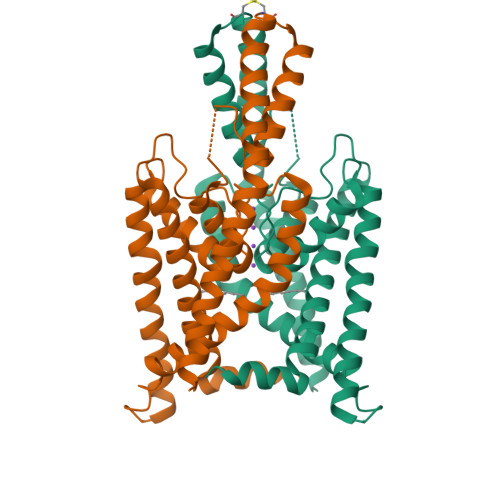 Rcsb Pdb 3ukm Crystal Structure Of The Human Two Pore Domain Potassium Ion Channel K2p1 Twik 1