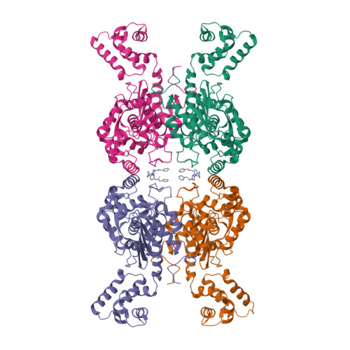 Rcsb Pdb 6ulj Crystal Structure Of Human Gac In Complex With Inhibitor Upgl