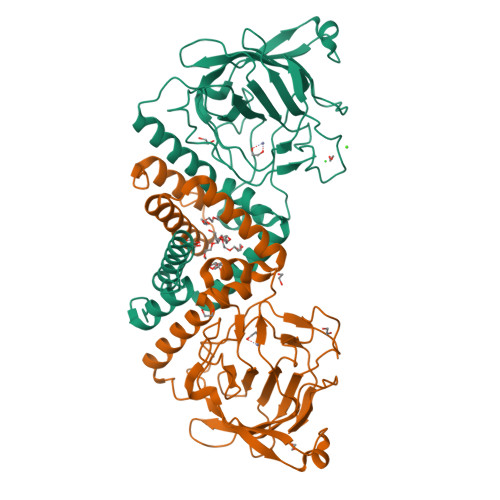 image of structure for 5UMH