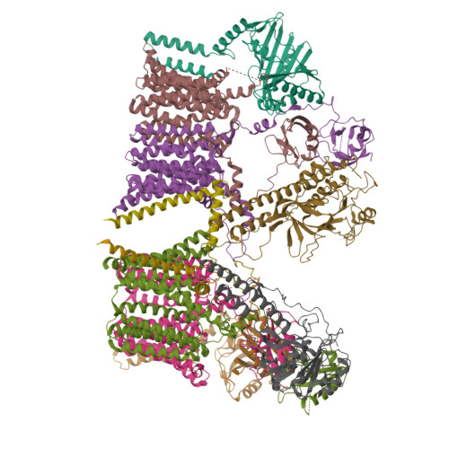 Rcsb Pdb 6umm A Complete Structure Of The Esx 3 Translocon Complex