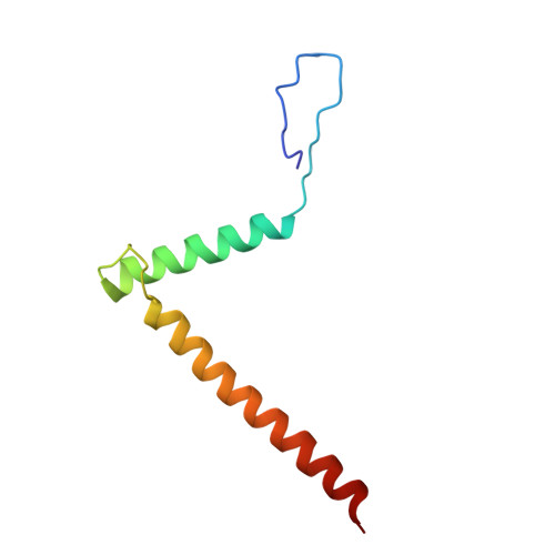 Rcsb Pdb 6umm A Complete Structure Of The Esx 3 Translocon Complex