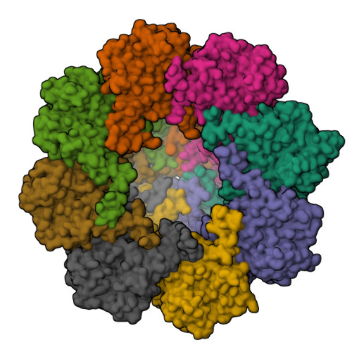 Structure 9UMT
