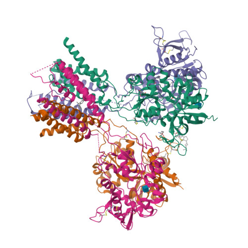 Rcsb Pdb 5un1 Crystal Structure Of Glun1 Glun2b Delta Atd Nmda Receptor