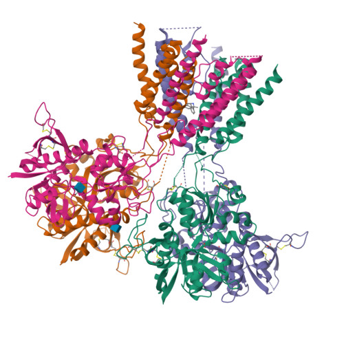 Rcsb Pdb 5un1 Crystal Structure Of Glun1 Glun2b Delta Atd Nmda Receptor