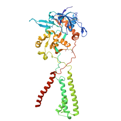 Rcsb Pdb 5un1 Crystal Structure Of Glun1 Glun2b Delta Atd Nmda Receptor