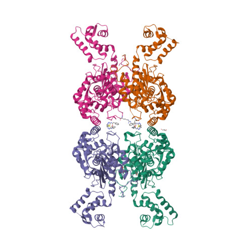 Rcsb Pdb 3uo9 Crystal Structure Of Human Gac In Complex With Glutamate And Bptes