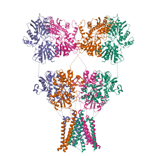 Rcsb Pdb 4uqj Cryo Em Density Map Of Glua2em In Complex With Zk200775