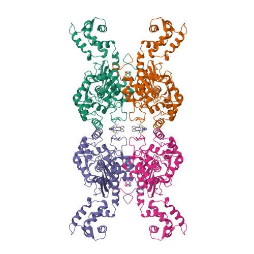 Rcsb Pdb 5uqe Multidomain Structure Of Human Kidney Type Glutaminase Kga Gls