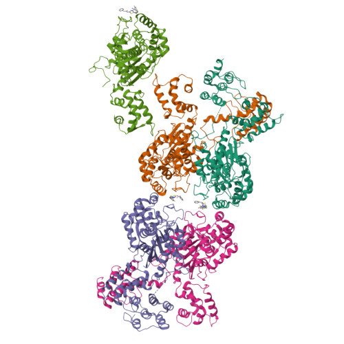 Rcsb Pdb 5uqe Multidomain Structure Of Human Kidney Type Glutaminase Kga Gls