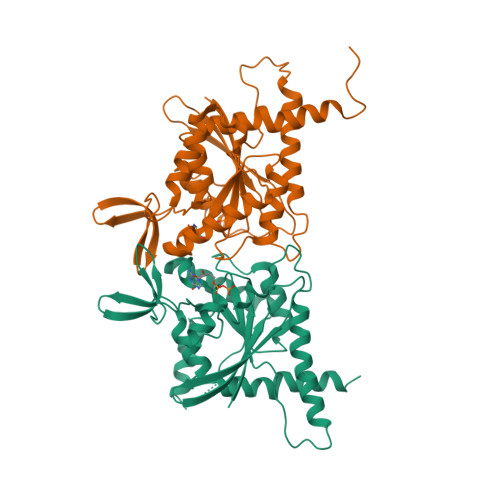 Rcsb Pdb 6uqq Crystal Structure Of Gtpase Domain Of Human Septin 7 Septin 3 T282y Heterocomplex