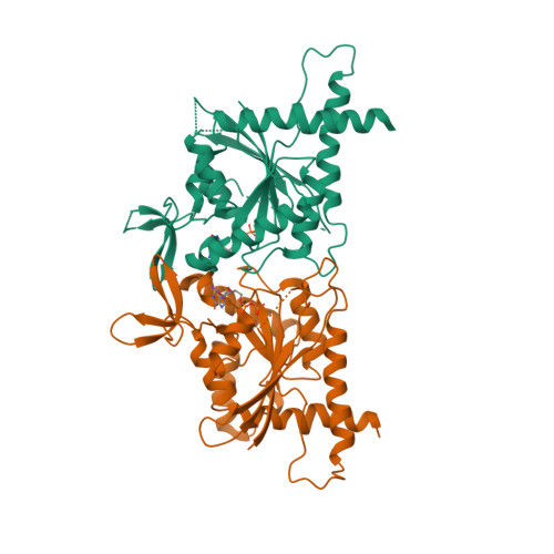 Rcsb Pdb 6uqq Crystal Structure Of Gtpase Domain Of Human Septin 7 Septin 3 T282y Heterocomplex