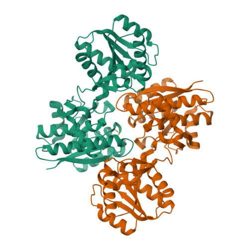 Rcsb Pdb 1usg L Leucine Binding Protein Apo Form