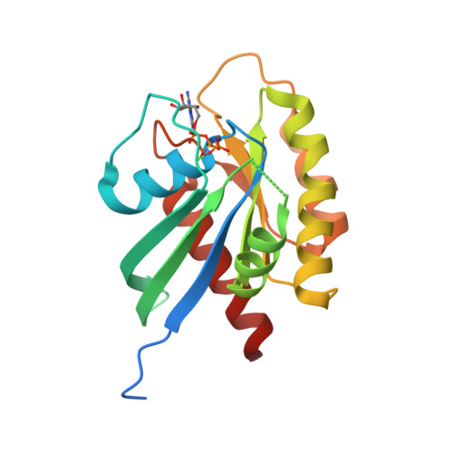 Rcsb Pdb 5usj Crystal Structure Of Human Kras G12d Mutant In Complex With Gdpnp