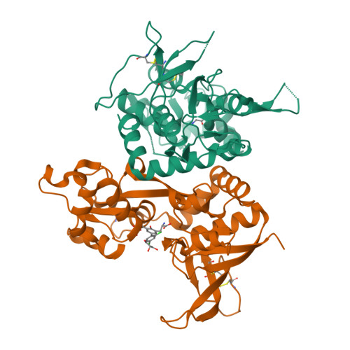 Rcsb Pdb 6usv Crystal Structure Of Glun1 Glun2a Ligand Binding Domain In Complex With Glycine And Sdz 220 040