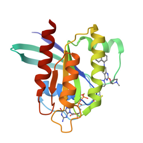 Rcsb Pdb 6usx Identification Of The Clinical Development Candidate Mrtx849 A Covalent Krasg12c Inhibitor For The Treatment Of Cancer