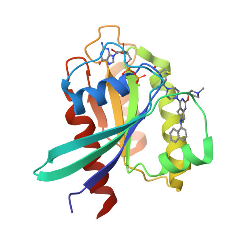 Rcsb Pdb 6usx Identification Of The Clinical Development Candidate Mrtx849 A Covalent Krasg12c Inhibitor For The Treatment Of Cancer