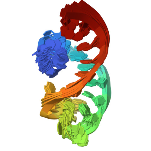 Rcsb Pdb 1uuu Structure Of An Rna Hairpin Loop With A 5 Cguuucg 3 Loop Motif By Heteronuclear Nmr Spectroscopy And Distance Geometry 15 Structures