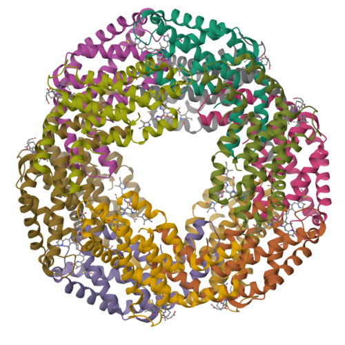 Rcsb Pdb 2uum Crystal Structure Of C Phycocyanin From Phormidium Lyngbya Spp Marine And Spirulina Sp Fresh Water Shows Two Different Ways Of Energy Transfer Between Two Hexamers