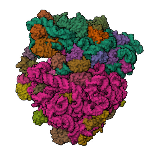 8UU4 assembly