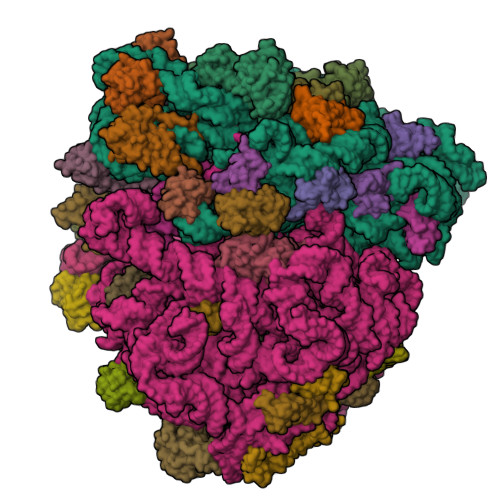 8UU5 assembly