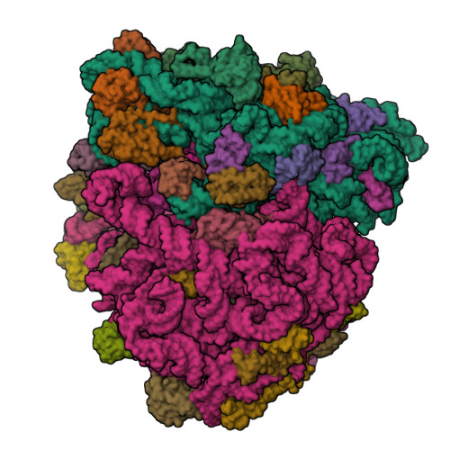 8UU6 assembly