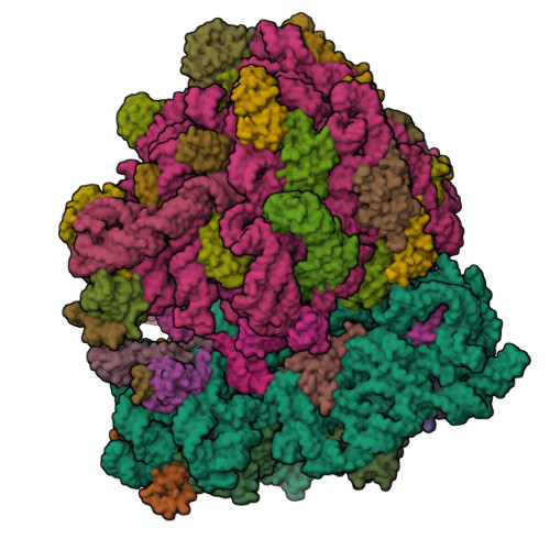 8UU7 assembly