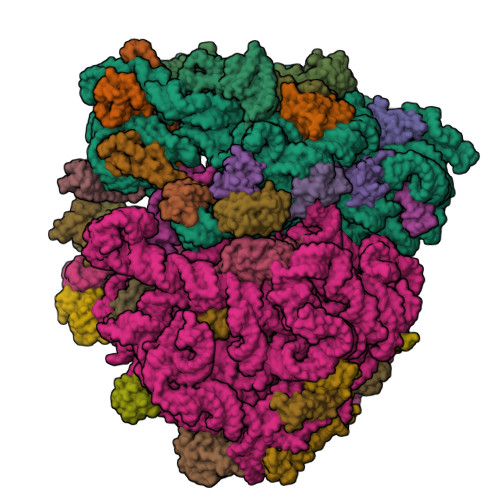 8UU8 assembly