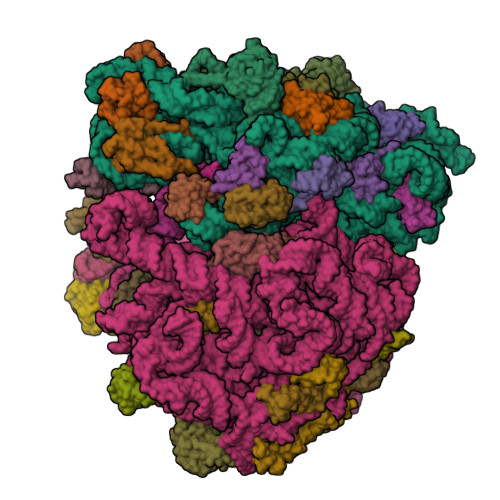 8UU9 assembly