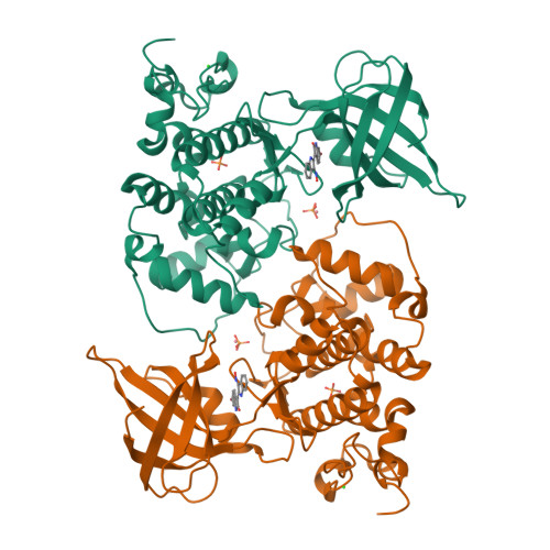 Rcsb Pdb 1uv5 Glycogen Synthase Kinase 3 Beta Complexed With 6 Bromoindirubin 3 Oxime