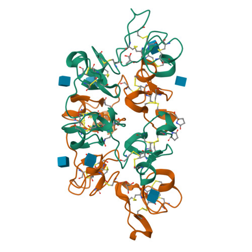 Rcsb Pdb 2uvo High Resolution Crystal Structure Of Wheat Germ Agglutinin In Complex With N Acetyl D Glucosamine