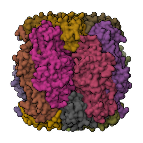 Rcsb Pdb 1uw9 L290f A222t Chlamydomonas Rubisco Mutant