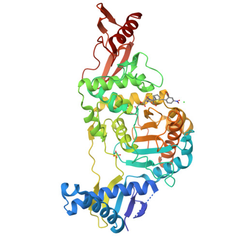 Rcsb Pdb 2uwx Active Site Restructuring Regulates Ligand Recognition In Class A Penicillin Binding Proteins