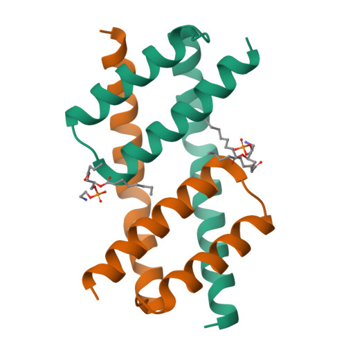 Rcsb Pdb 6uxm Crystal Structure Of Bak Core Domain Bh3 Groove Dimer In Complex With E Coli Lipid