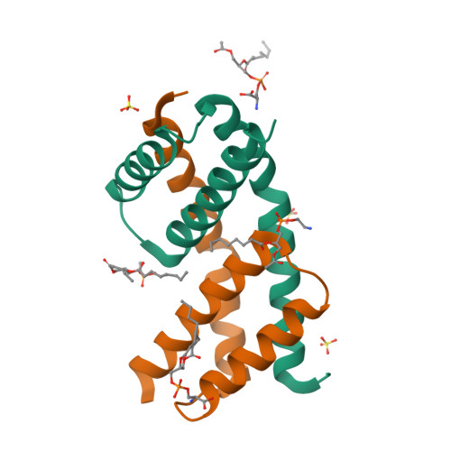Rcsb Pdb 6uxn Crystal Structure Of Bak Core Domain Bh3 Groove Dimer In Complex With Phosphatidylserine