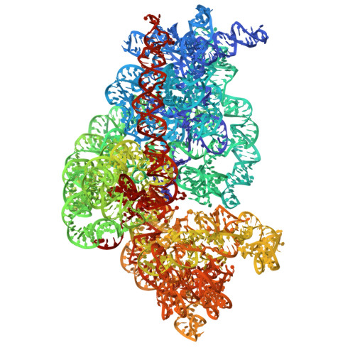 Rcsb Pdb 5uyq 70s Ribosome Bound With Near Cognate Ternary Complex Base Paired To A Site Codon Closed 30s Structure Iii Nc