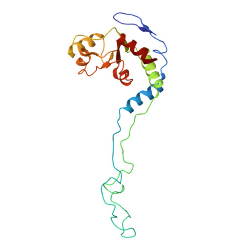 Rcsb Pdb 5uyq 70s Ribosome Bound With Near Cognate Ternary Complex Base Paired To A Site Codon Closed 30s Structure Iii Nc